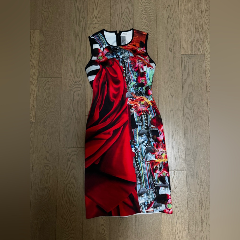Clover Canyon gorgeous dress